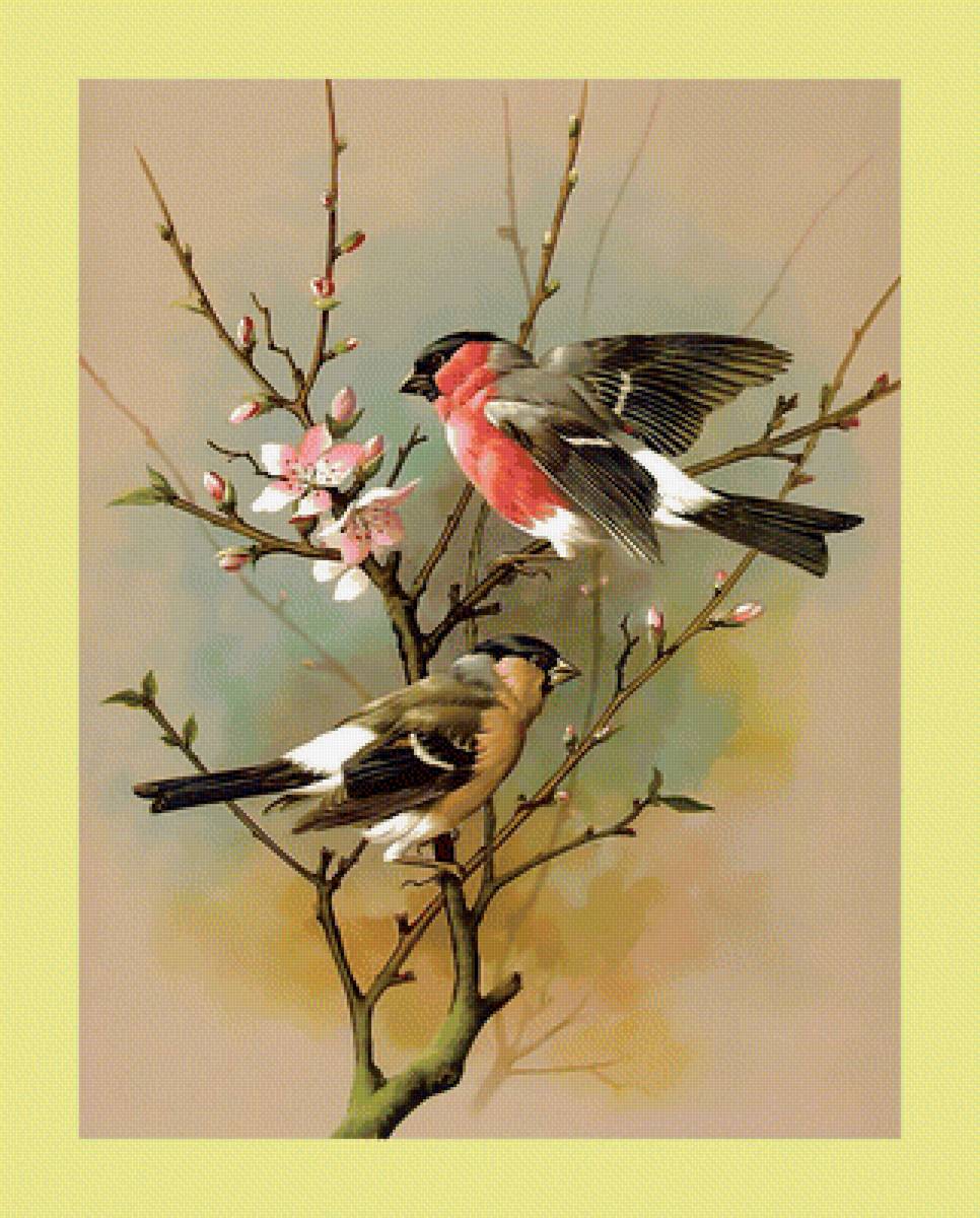 Яркие птички. - птицы, живопись - предпросмотр