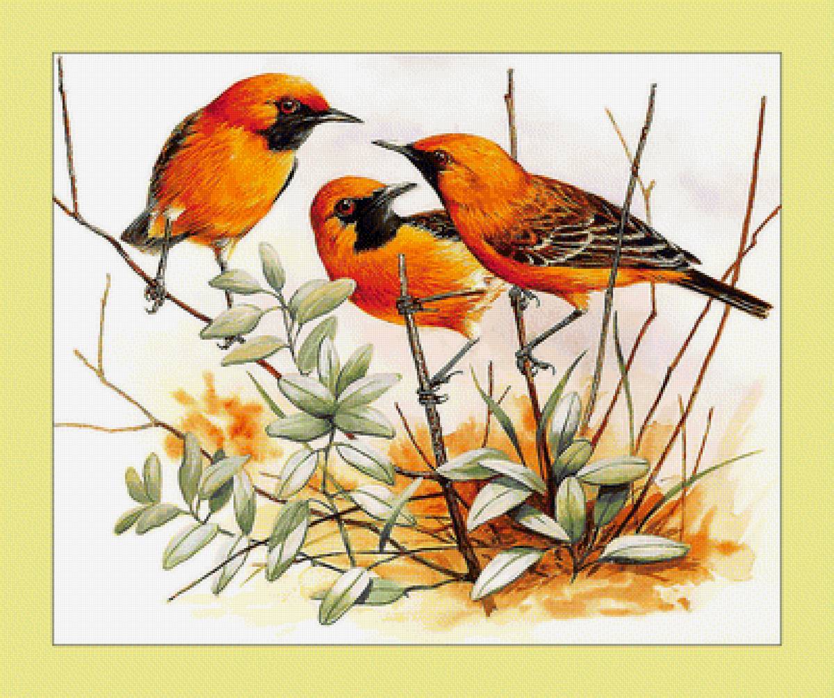 Яркие птички. - живопись, птицы - предпросмотр