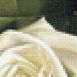 Предпросмотр схемы вышивки «Белые розы.» (№2002930)