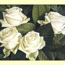 Оригинал схемы вышивки «Белые розы.» (№2002930)