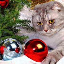 Схема вышивки «№2003215»