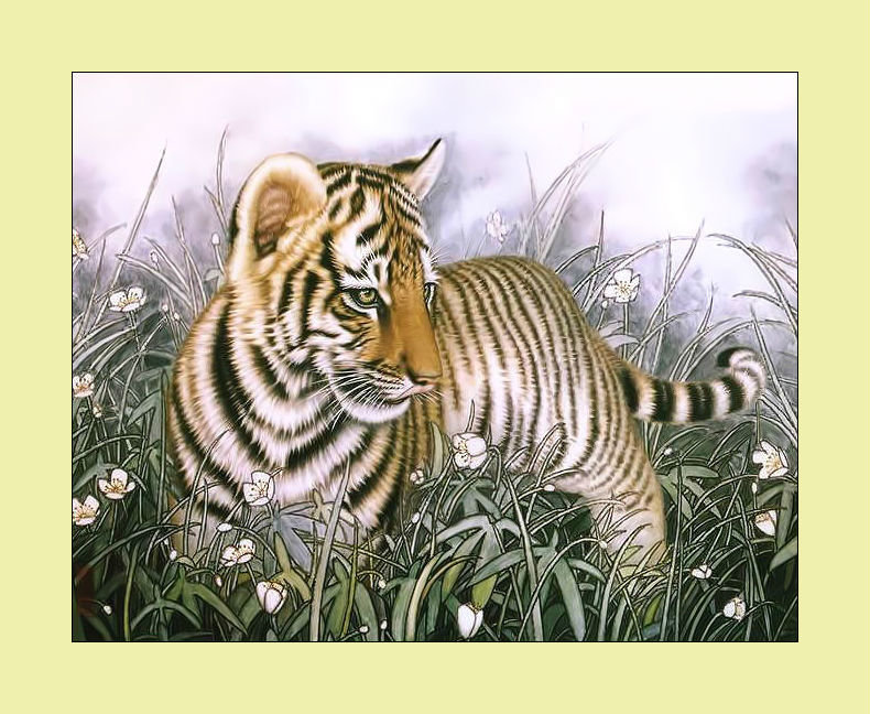 Тигрёнок. - тигр, хищник, тигренок, живопись - оригинал