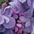 Предпросмотр схемы вышивки «Lilacs» (№2003401)