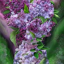 Схема вышивки «Lilacs In Lilac Vase»