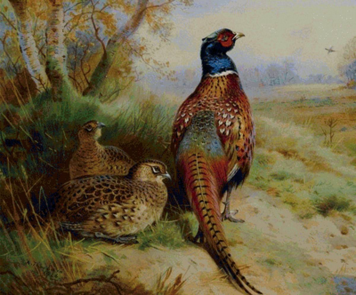 №2003408 - предпросмотр