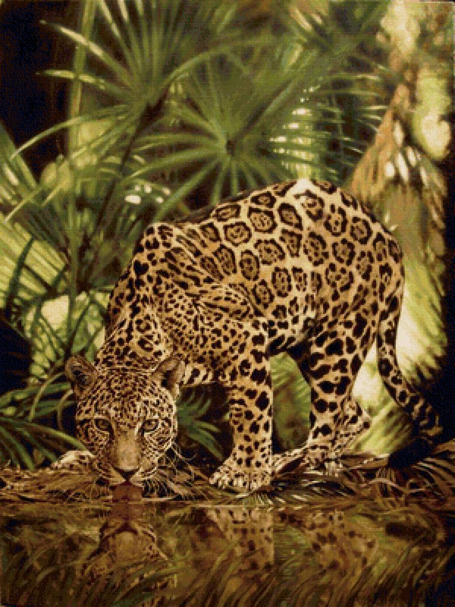 дикие - предпросмотр