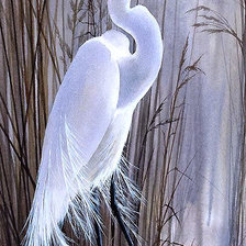 Схема вышивки «№2003657»