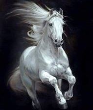 Схема вышивки «лошадь»