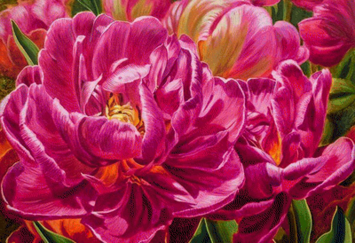 Peonies - пионы - предпросмотр