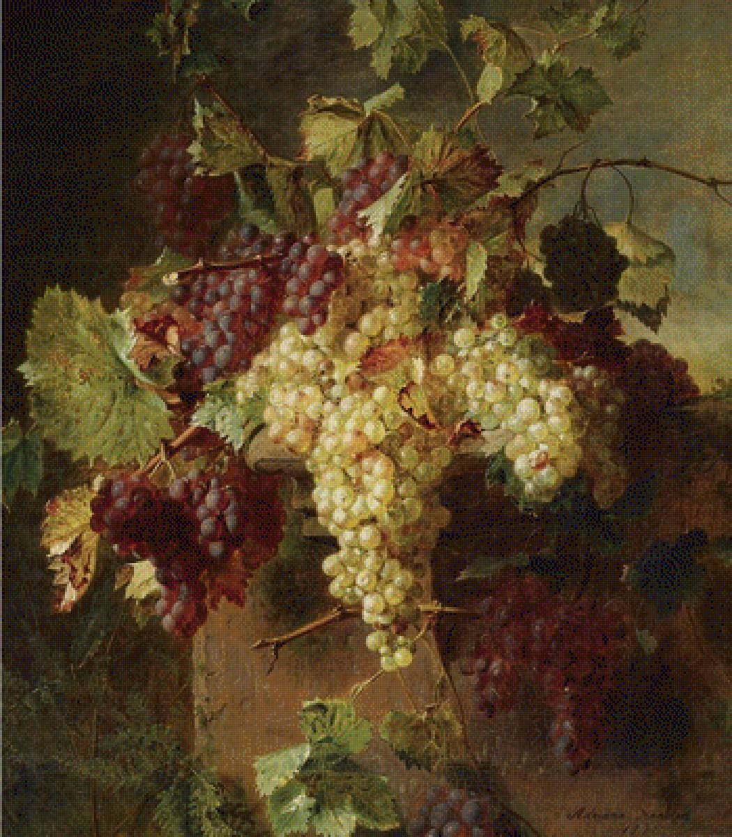 виноград - осень, картины, урожай, виноград - предпросмотр