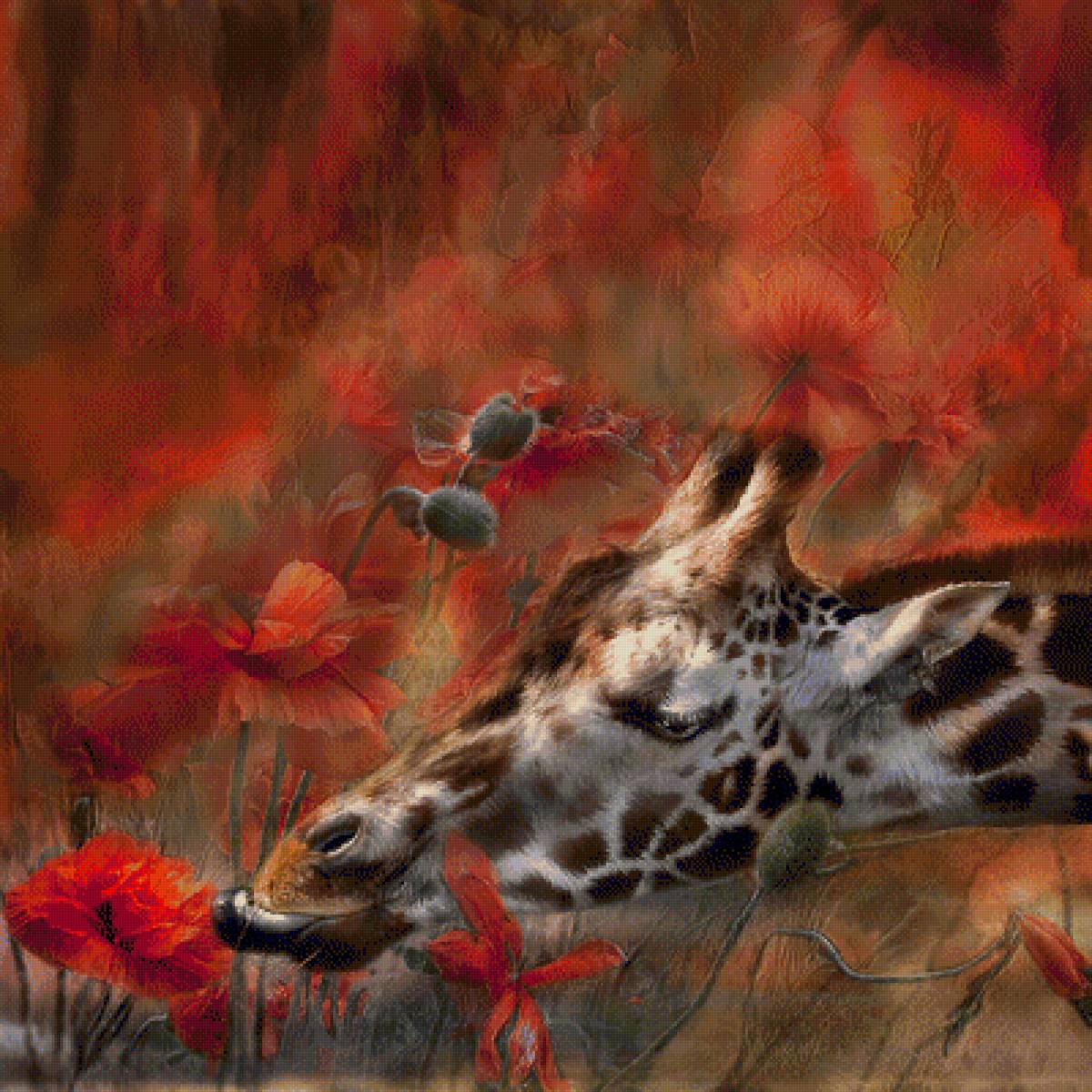 Жираф и маки - жираф и маки - предпросмотр