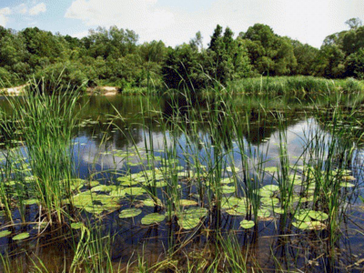 №2004800 - предпросмотр