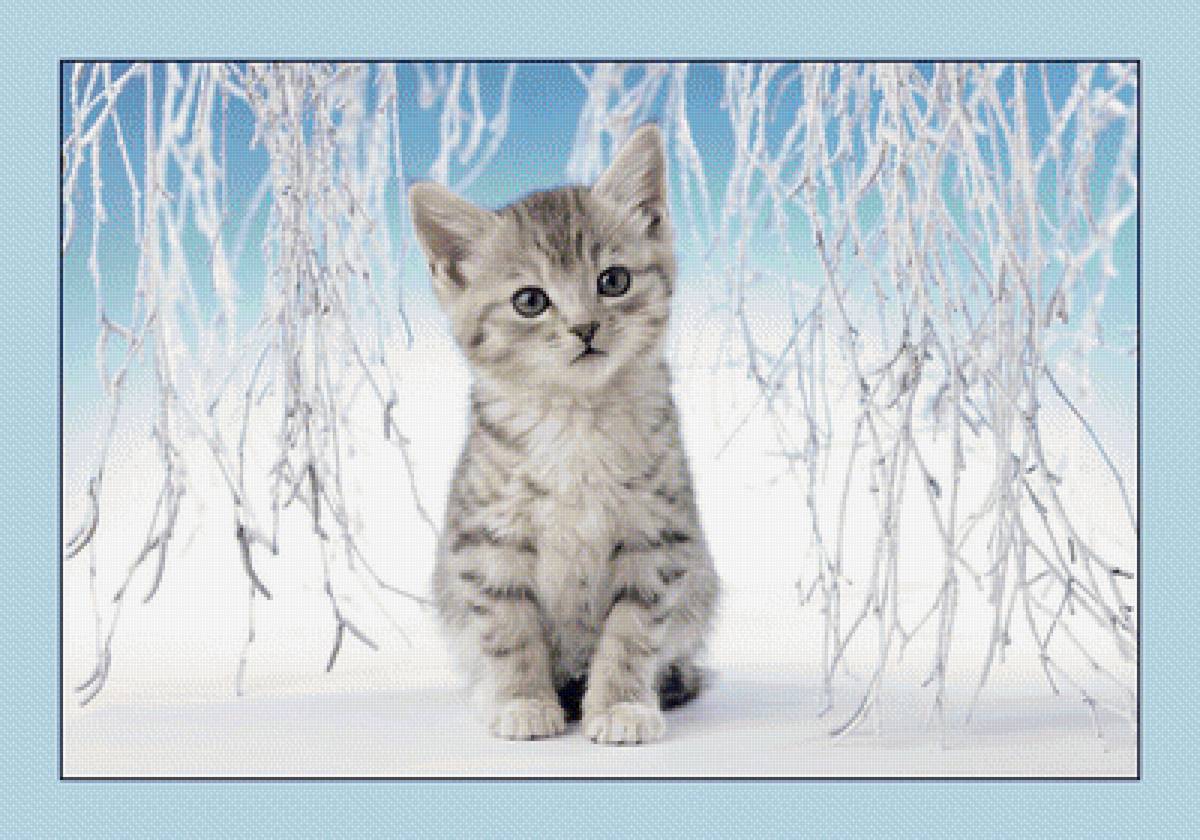 №2004839 - зима, животные, коты - предпросмотр