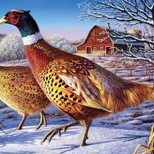 Схема вышивки «№2005440»