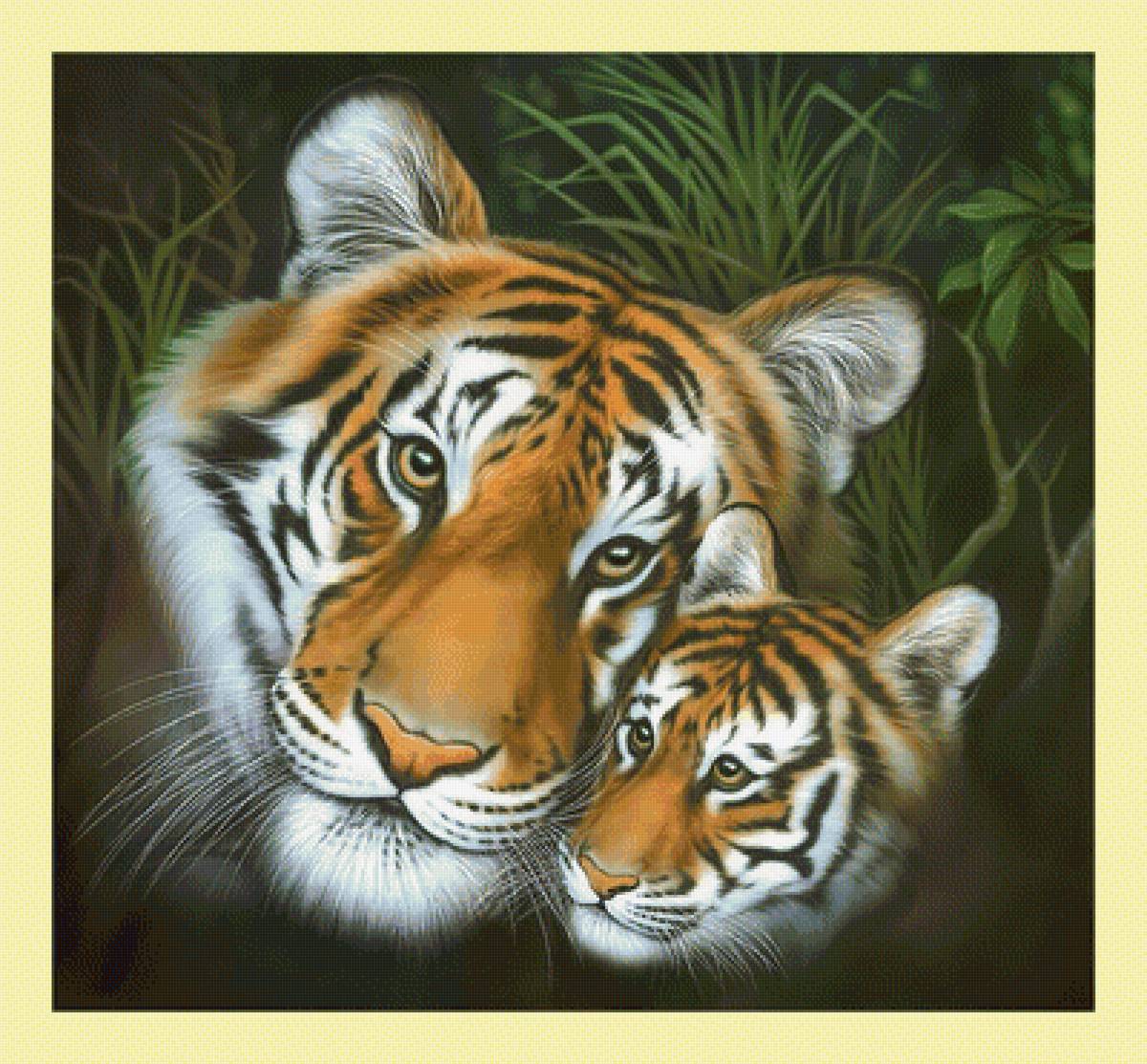 Тигры. - живопись, тигры, ласка, взгляд, хищники, животные - предпросмотр