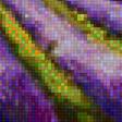 Предпросмотр схемы вышивки «Lavender Rows.» (№2005723)