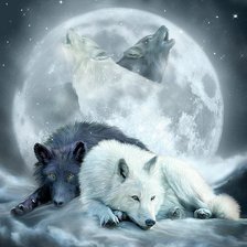 Схема вышивки «wolvenfamilie 120 kl 75 %»