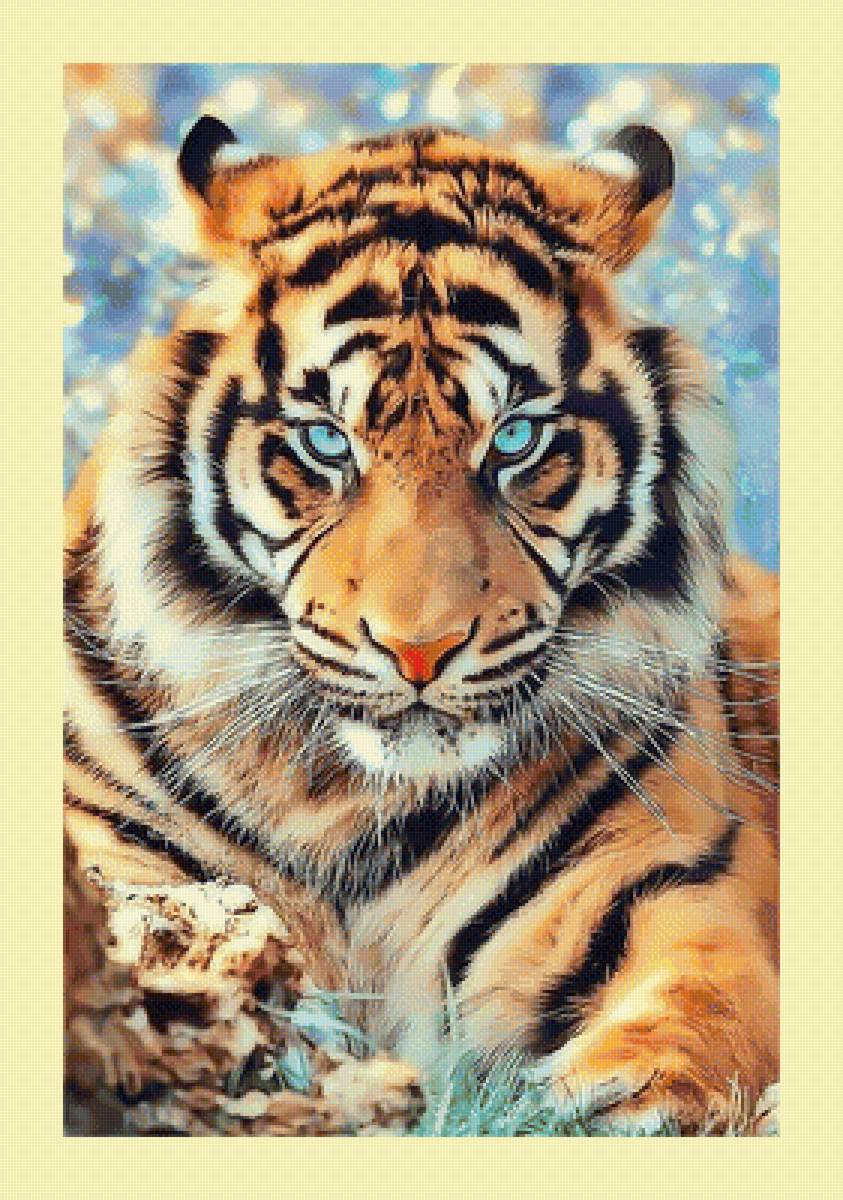 Тигр. - хищник, животные, тигр, взгляд - предпросмотр