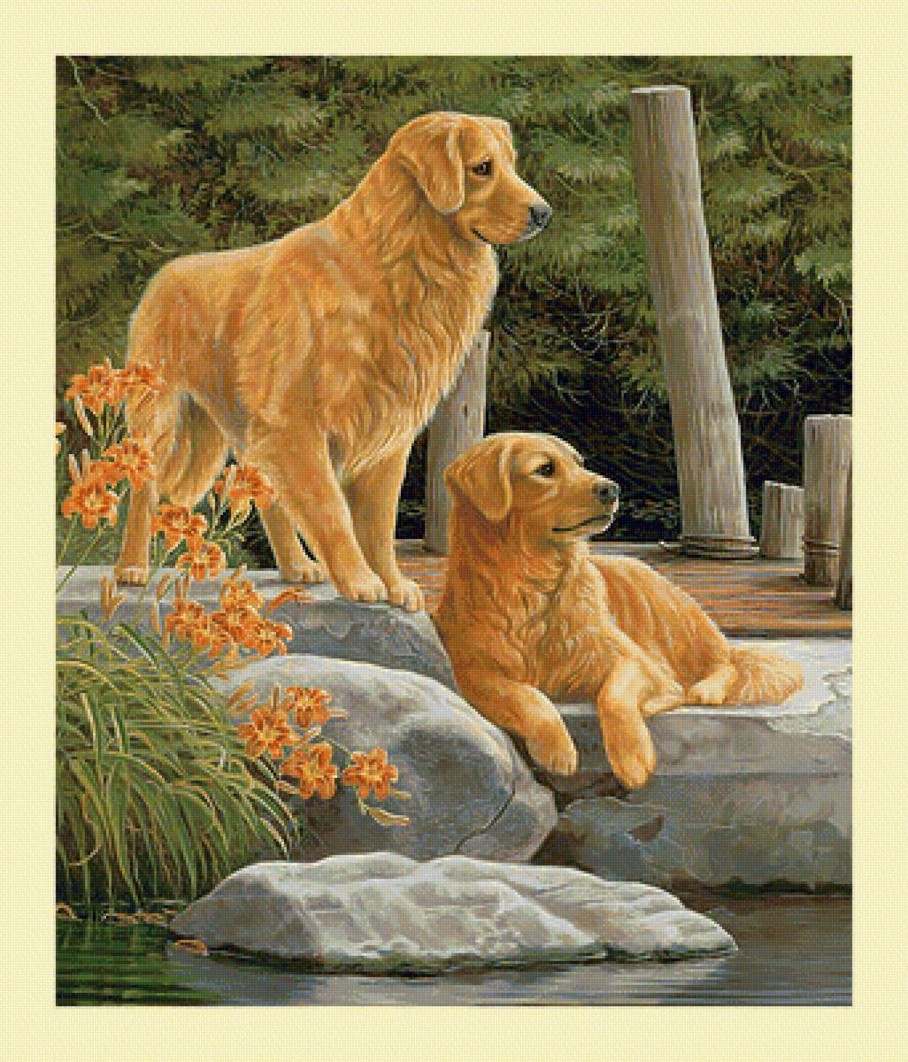Собаки. - животные, цветы, живопись, лилии, собаки - предпросмотр