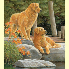 Оригинал схемы вышивки «Собаки.» (№2006106)