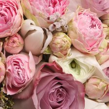 Схема вышивки «Цветы»