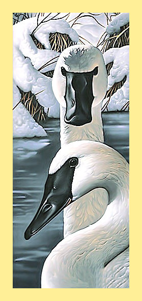 Серия "Птицы". Лебеди, пара - птицы, лебеди, фауна - оригинал