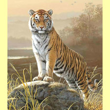Оригинал схемы вышивки «Тигр. ДМС» (№2007196)