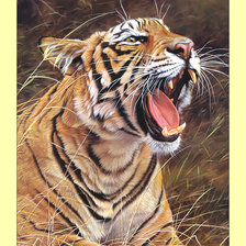 Оригинал схемы вышивки «Тигр.» (№2007329)