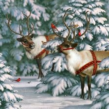 Схема вышивки «№2007577»