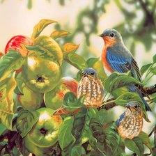 Схема вышивки «№2007579»