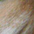 Предпросмотр схемы вышивки «Белый гриб» (№2007601)