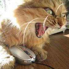 Схема вышивки «Наше-е-е-ел!»