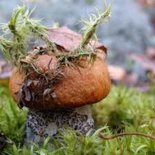 Схема вышивки «Замаскировался»