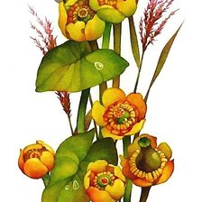 Схема вышивки «№2008297»