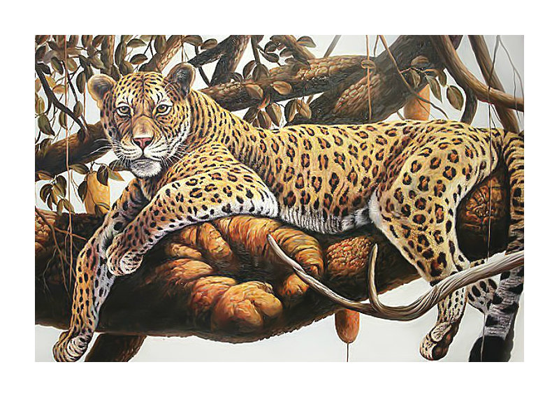 Леопард. - животные, леопард, хищник, дерево - оригинал