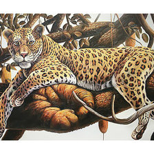 Оригинал схемы вышивки «Леопард.» (№2008321)