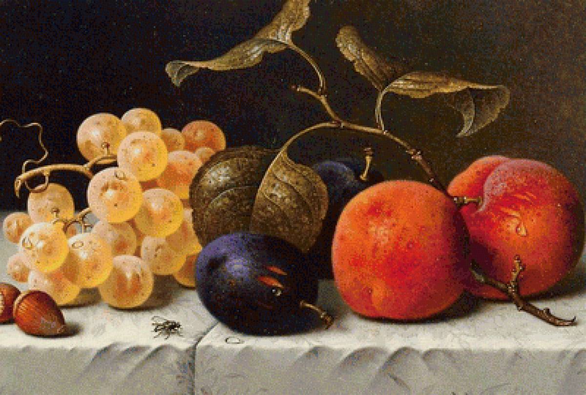 №2008465 - предпросмотр