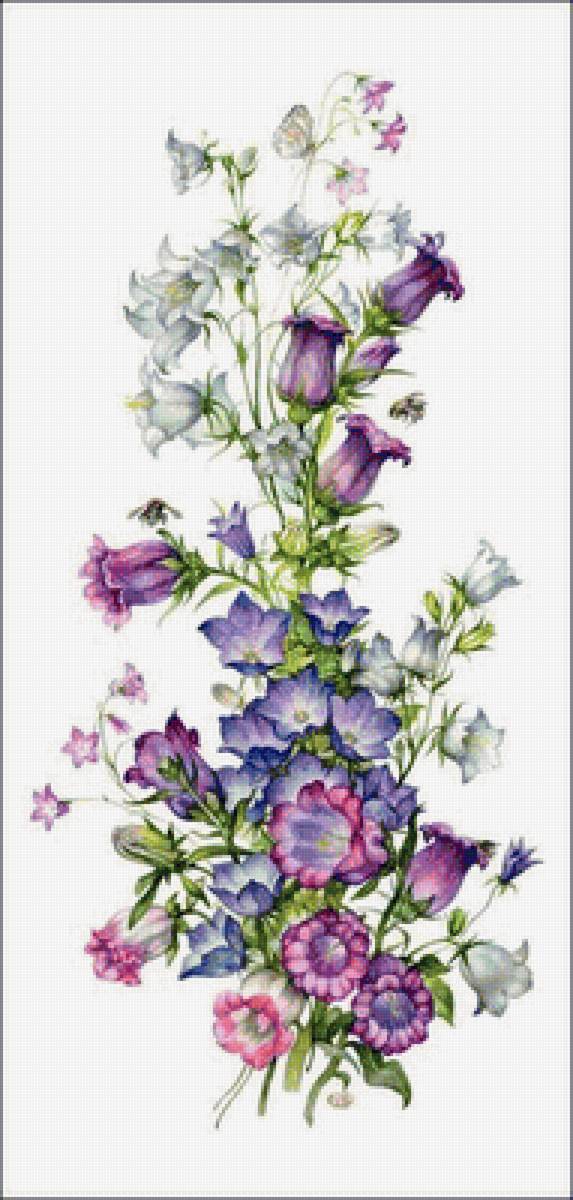 zvonky - предпросмотр