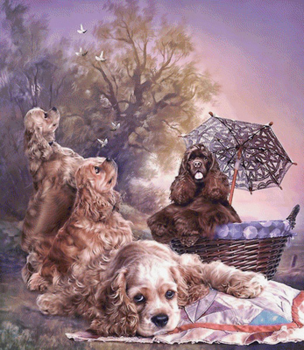 Собаки - корзина, кокер, зонт - предпросмотр
