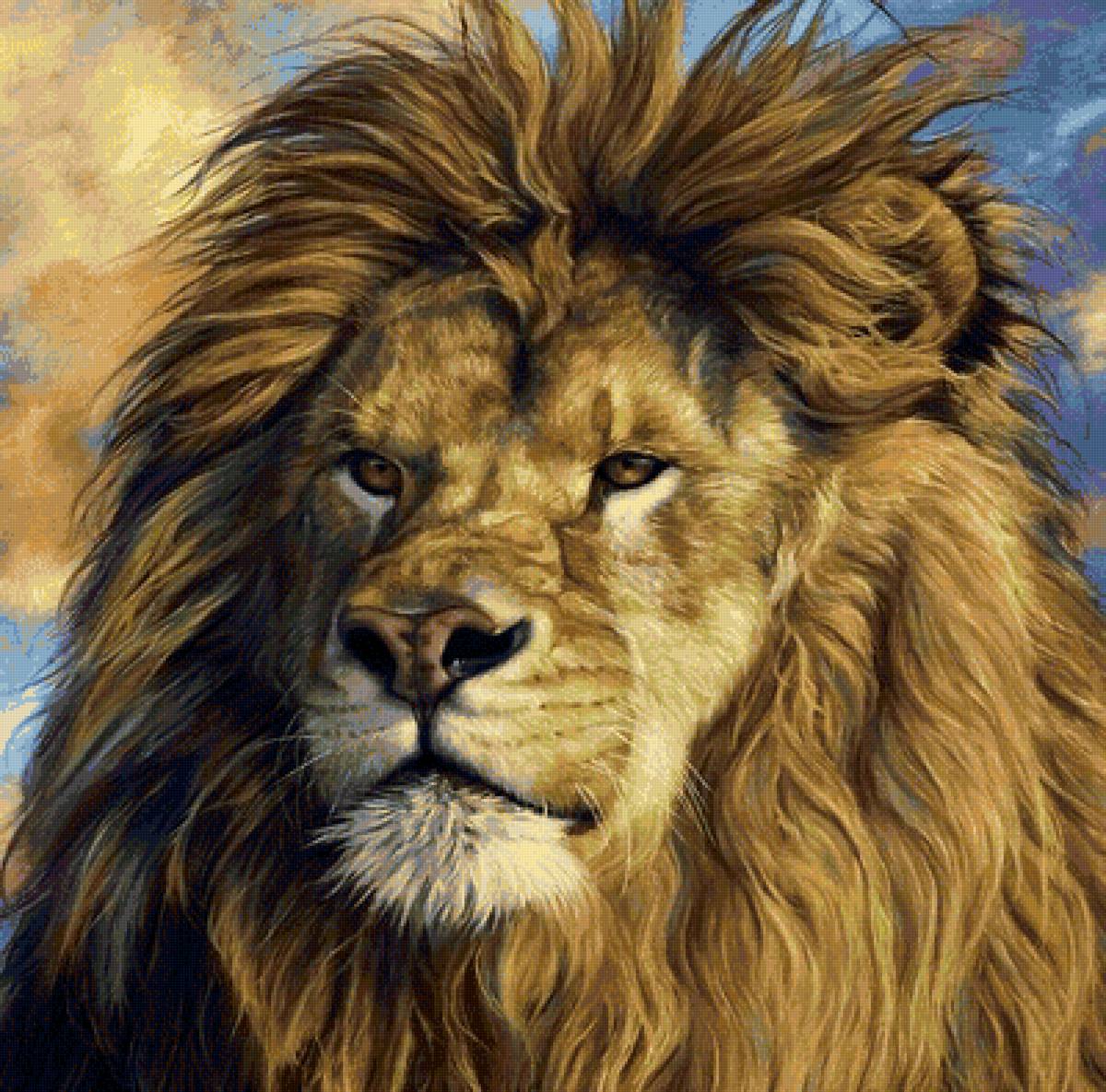 дикие - предпросмотр