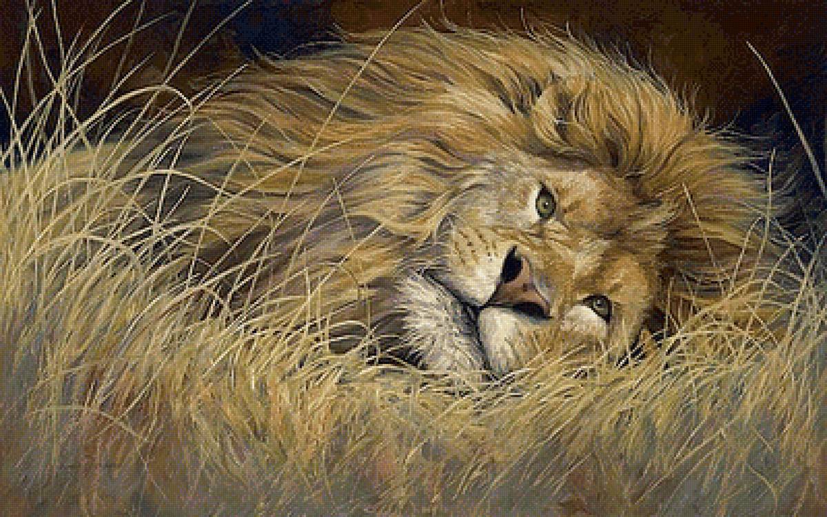 дикие - предпросмотр