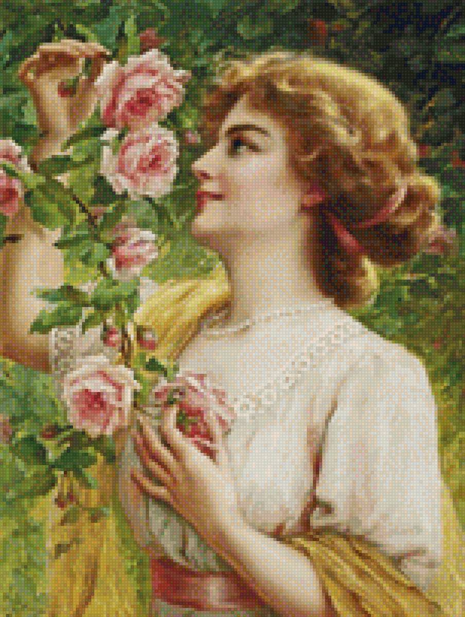 Девушка с розами - цветы, розы, девушка - предпросмотр