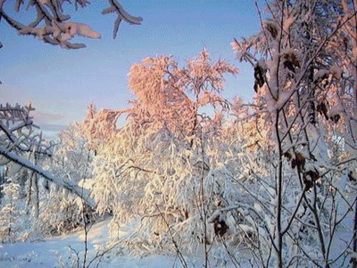 Зимнее очарование - зима, снег, природа, лес - предпросмотр