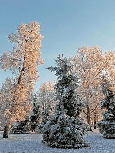 Мороз и солнце - природа, зима, снег, лес - оригинал