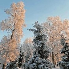 Схема вышивки «Мороз и солнце»