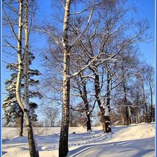 Схема вышивки «Морозный денек»