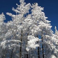 Схема вышивки «Сказочный лес»