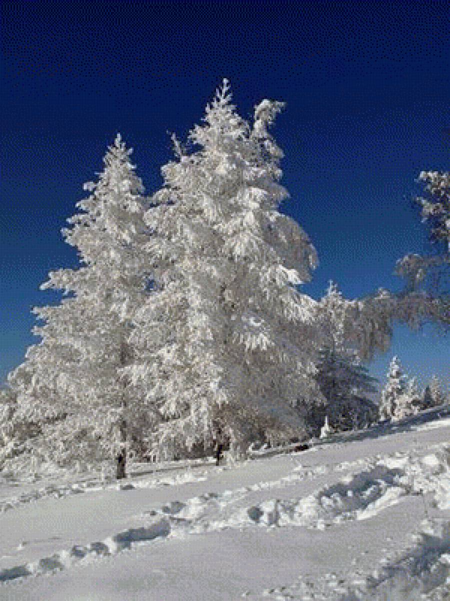 Снежная сказка - природа, лес, зима, снег - предпросмотр