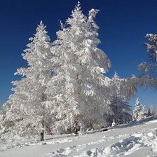 Снежная сказка