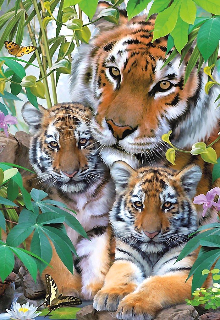 тигры - тигры, тигрята, семья - оригинал